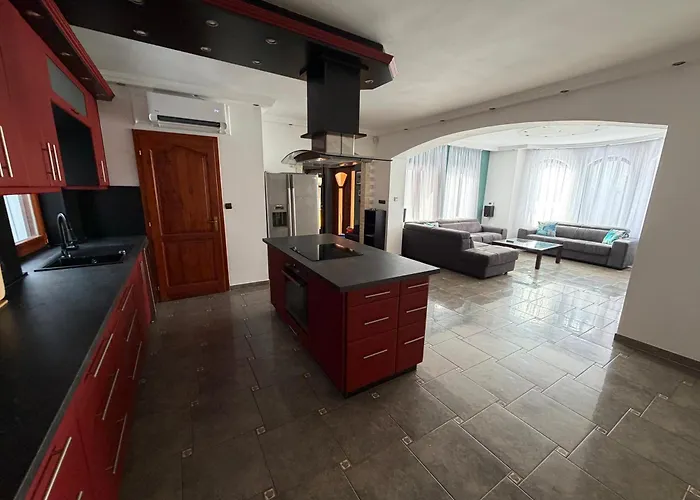 Vianelli Daire Zamárdi